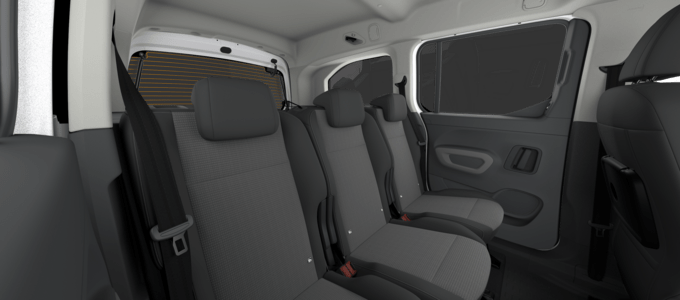 PF - VIP - LWB Passenger van 5 doors