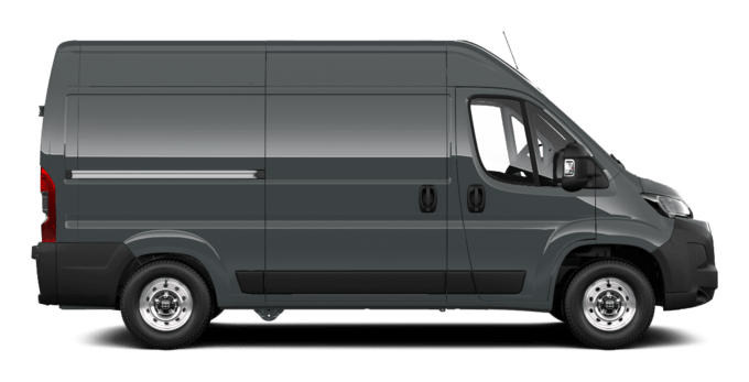 Proace Max