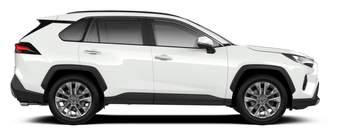 RAV4 - Люкс - 5-дв. вагон