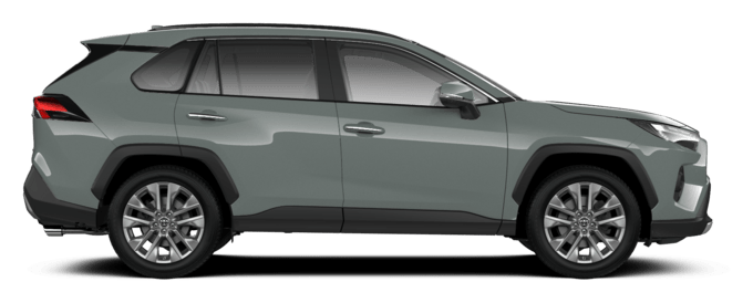 RAV4 - Люкс Плюс - Кроссовер