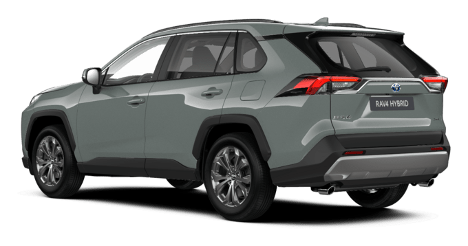 RAV4 - Luxury Limited - Miesto visureigis