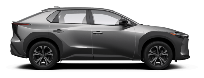Toyota bZ4X - Luxury - Visureigis