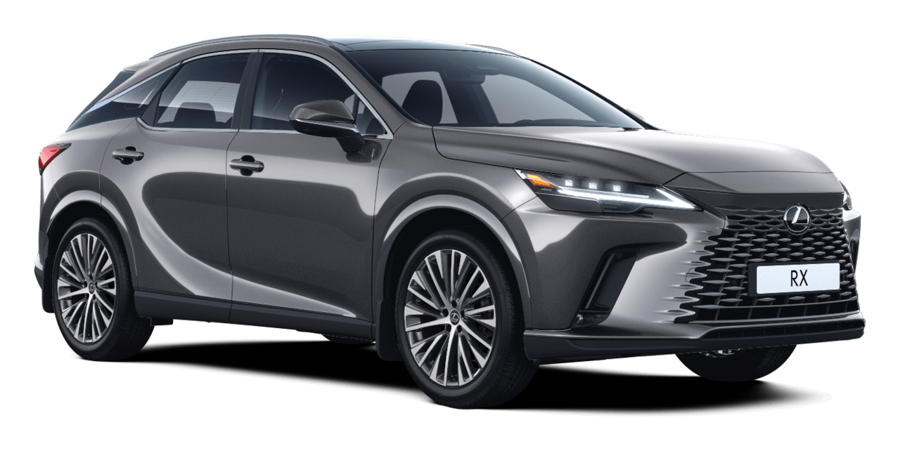 RX 2.5 HEV Executive 5-դռնանի ունիվերսալ