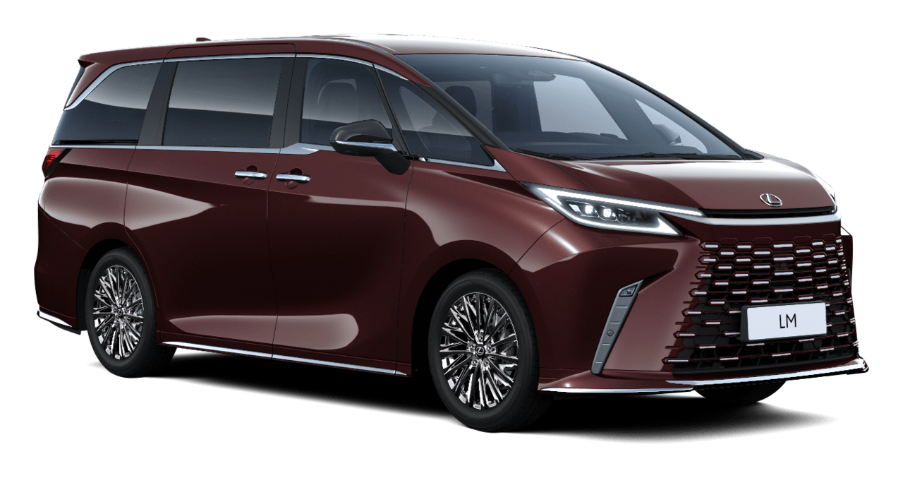 LM LUXURY 6 PLAZAS MODERN BLACK MPV