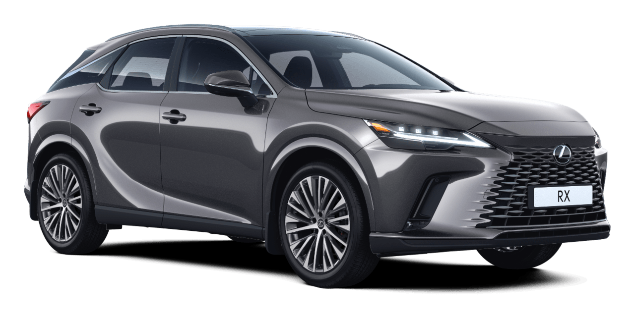 RX Hybrid Executive 5 კარიანი ქროსოვერი