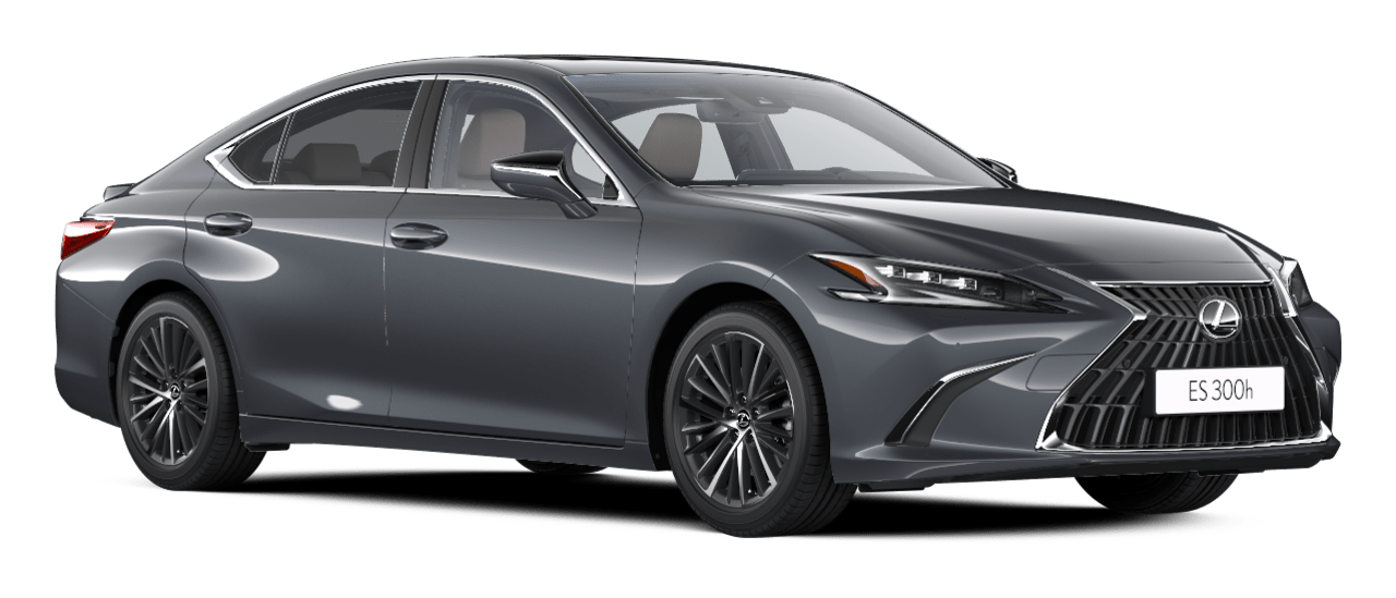 ES Executive Plus 4D - Sedan