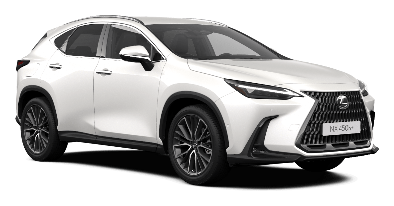 NX LUXURY TOP SUV