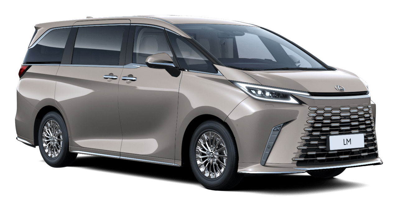 LM VIP 5-дверный минивэн