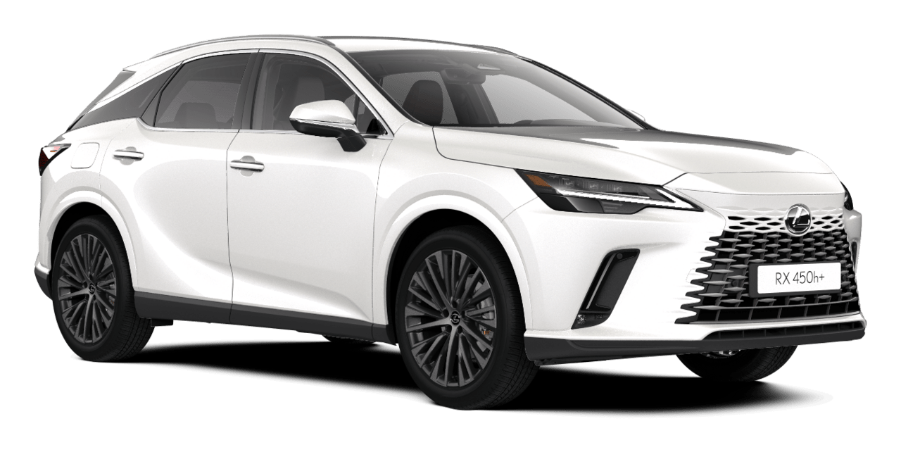 RX Business Športni terenec