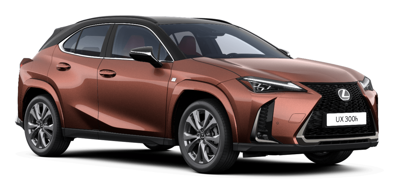 UX F Sport Premium Karavan 5 vrat