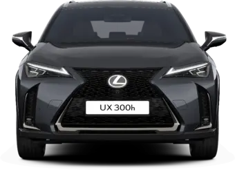 UX - 300h F SPORT Takumi - SUV
