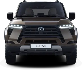 GX - Overtrail Bi Tone - Кроссовер