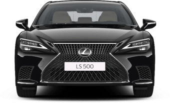 LS - Luxury 2 - 4 კარიანი სედანი LWB