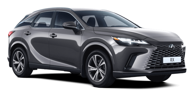 RX - 2.4TP Comfort - 5-դռնանի ունիվերսալ