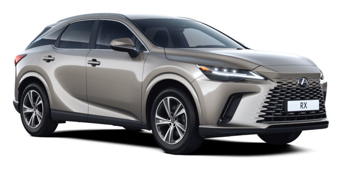 RX - Comfort - SUV 5-ust