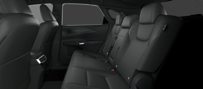 RX - BUSINESS - SUV