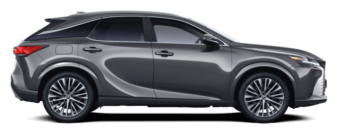 RX - Executive - SUV