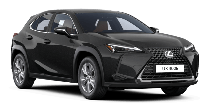 UX - UX 300h - SUV