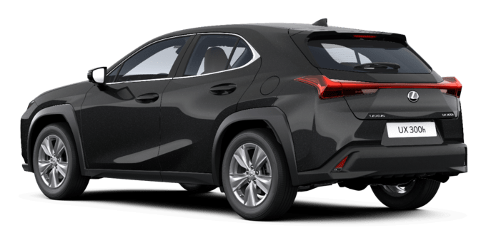 UX - UX 300h - SUV