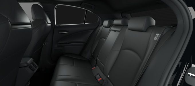 UX - 300h F SPORT Takumi - SUV