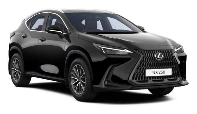 NX - Executive 2.5 - 5 კარიანი ქროსოვერი