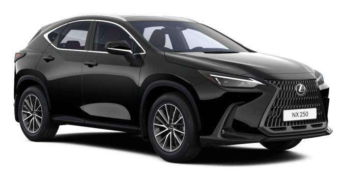 NX - Executive 2.5 - 5 კარიანი ქროსოვერი
