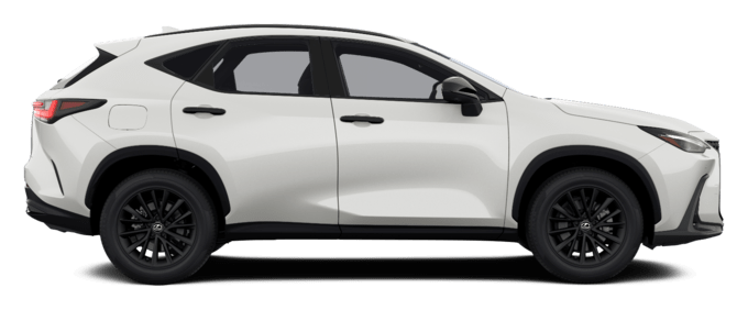 NX - Overtrail PHEV - 5 კარიანი ქროსოვერი