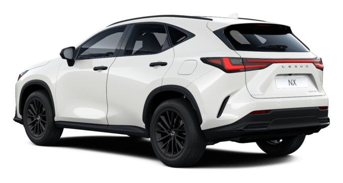 NX - Overtrail PHEV - 5 კარიანი ქროსოვერი