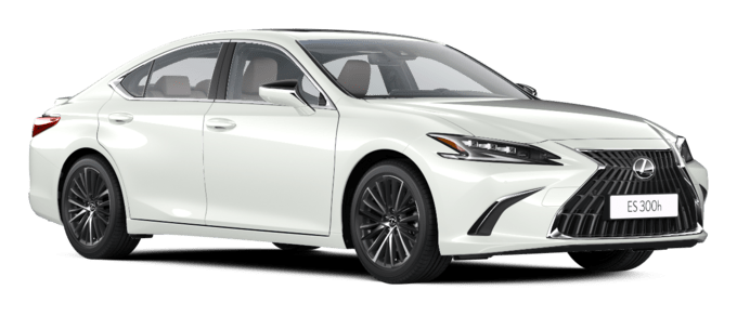 ES - Executive 1 - 4 კარიანი სედანი