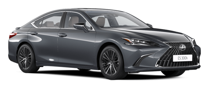 ES - Executive 1 - 4 კარიანი სედანი