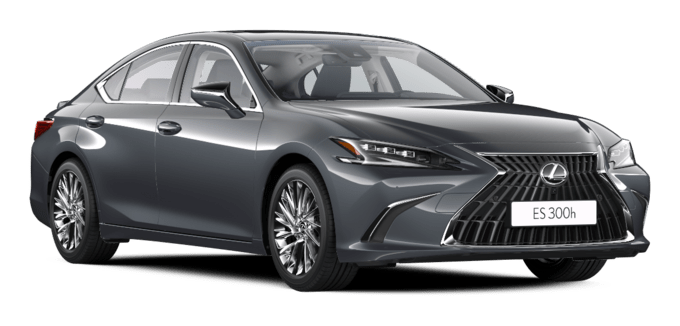 ES - Luxury - 4 კარიანი სედანი