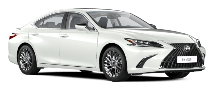 ES - Luxury - 4 კარიანი სედანი