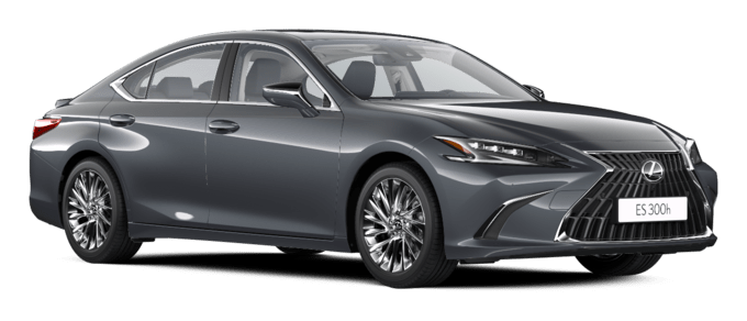 ES - Luxury - 4 კარიანი სედანი