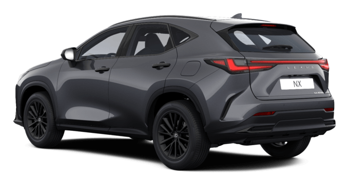 NX - Overtrail PHEV - 5 კარიანი ქროსოვერი