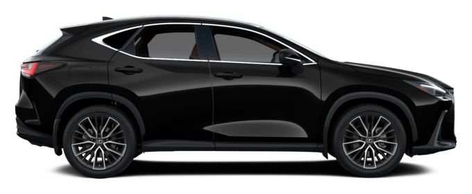 NX - Luxury PHEV - 5 კარიანი ქროსოვერი