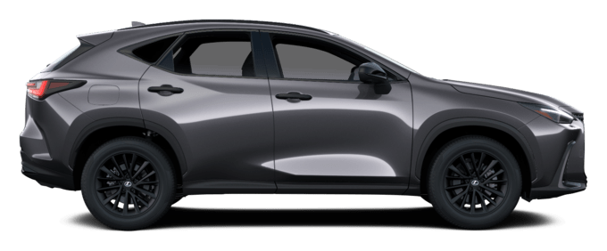 NX - Overtrail PHEV - 5 კარიანი ქროსოვერი