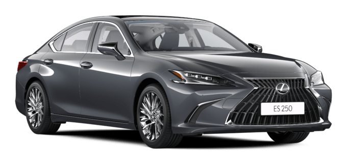 ES - Luxury - 4 კარიანი სედანი