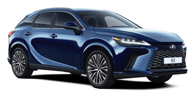 RX Business SUV
