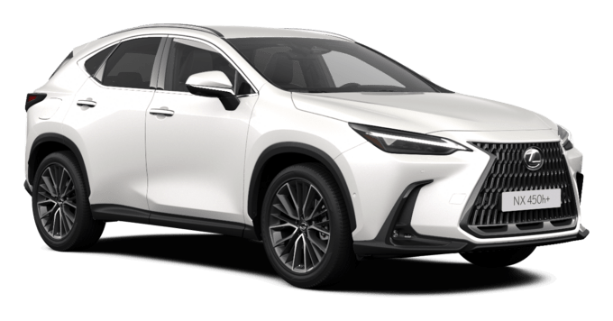 NX - LUXURY TOP - SUV