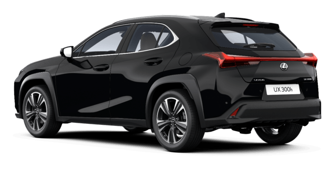 UX - BUSINESS EDITION - SUV