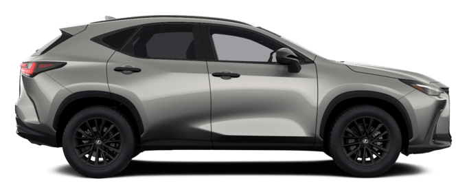 NX - OVERTRAIL - SUV