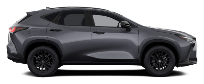 NX - OVERTRAIL - SUV