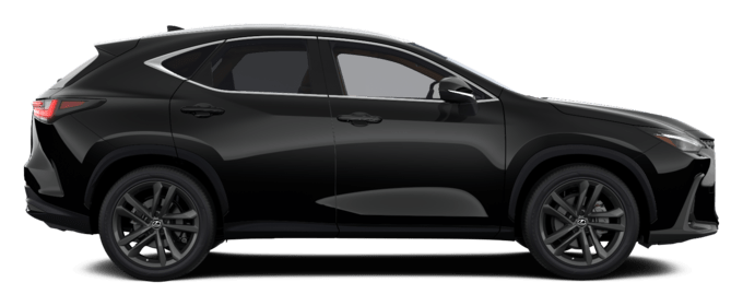 NX - EXECUTIVE TOP - SUV