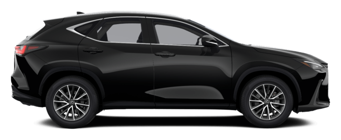 NX - BUSINESS EDITION - SUV