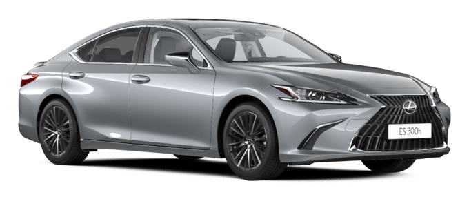 ES - Dynamic - Saloon