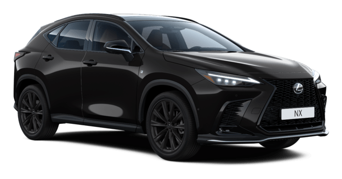 NX - F Sport - 5 dyra