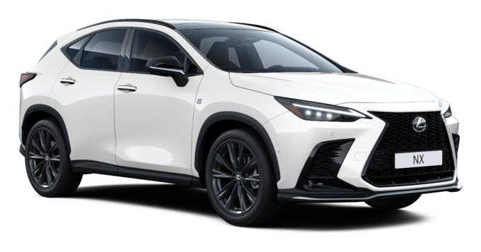 NX - F Sport - 5 dyra