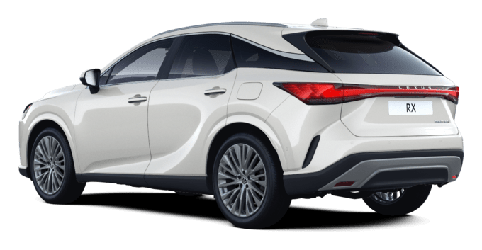 RX - Luxury - 5 dyra