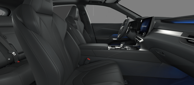RX - F Sport - 5 dyra