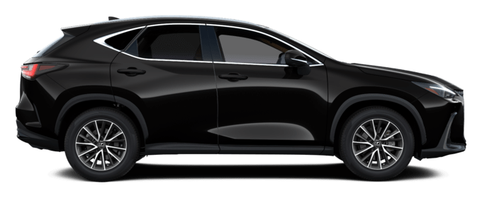 NX - Executive - 5 dyra